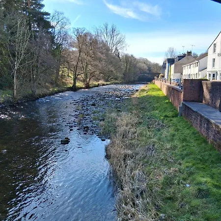 Sycamore - District Hiking & Rivers Semesterbostad Cockermouth