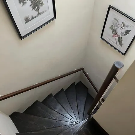 Sycamore - District Hiking & Rivers Cockermouth